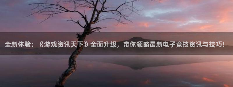 优贝娱乐登录地址：全新体验：《游戏资讯天下》全面升级，带你领