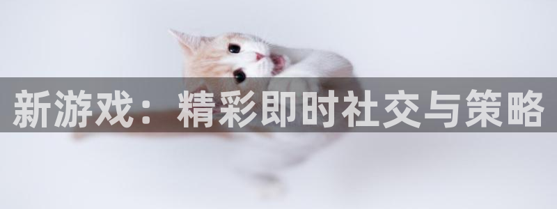 优贝娱乐科技：新游戏：精彩即时社交与策略
