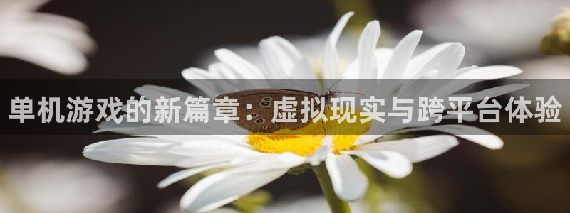 优贝娱乐测速登陆：单机游戏的新篇章：虚拟现实与跨平台体验