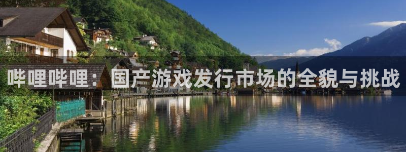 优贝娱乐什么意思：哔哩哔哩：国产游戏发行市场的全貌与挑战