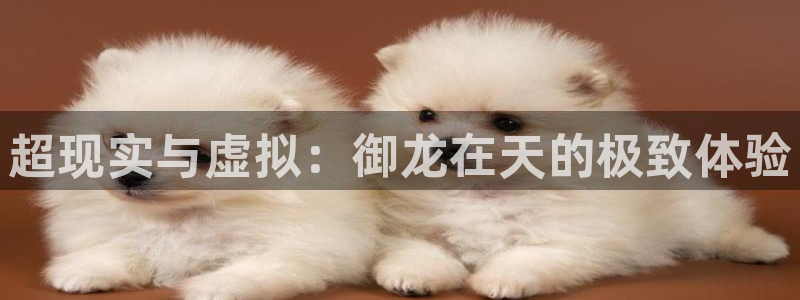 新雨燕直播足球直播：超现实与虚拟：御龙在天的极致体验