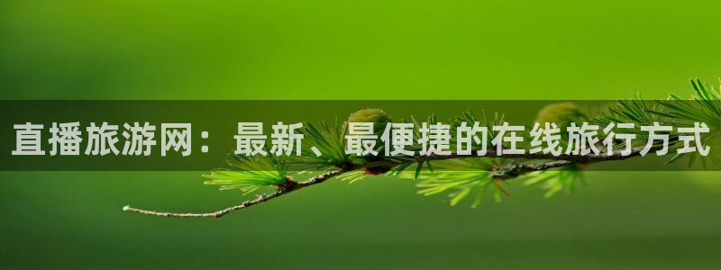 雨燕360体育直播全网发布.新年网.中国：直播旅游网：最新、最便捷的在线旅行方式