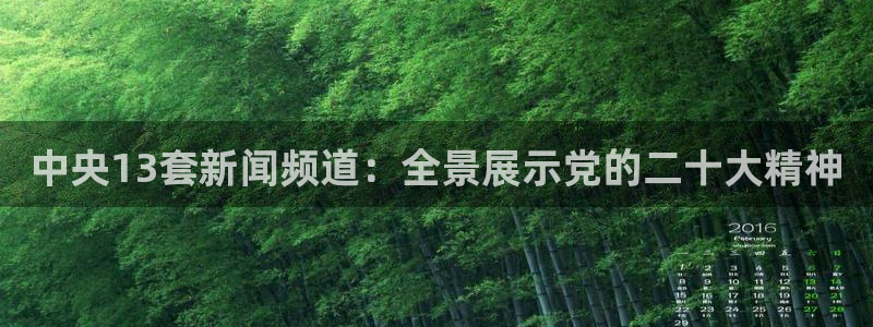 看球宝雨燕直播：中央13套新闻频道：全景展示党的二十大精神