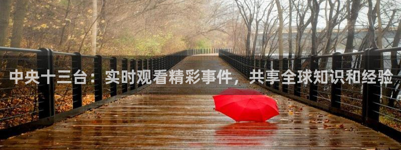 雨燕体育无插件高清直播cba：中央十三台：实时观看精彩事件，共享全球知识和经验