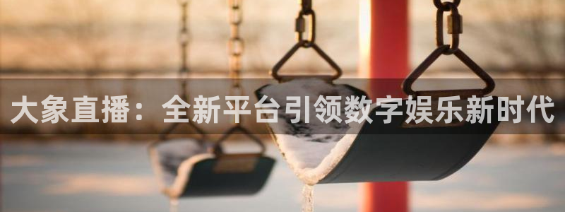 360足球直播赛事雨燕：大象直播：全新平台引领数字娱乐新时代