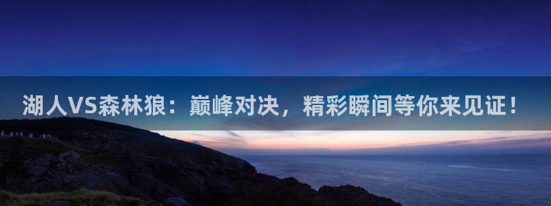 雨燕nba在线高清免费直播：湖人VS森林狼：巅峰对决，精彩瞬间等你来见证！