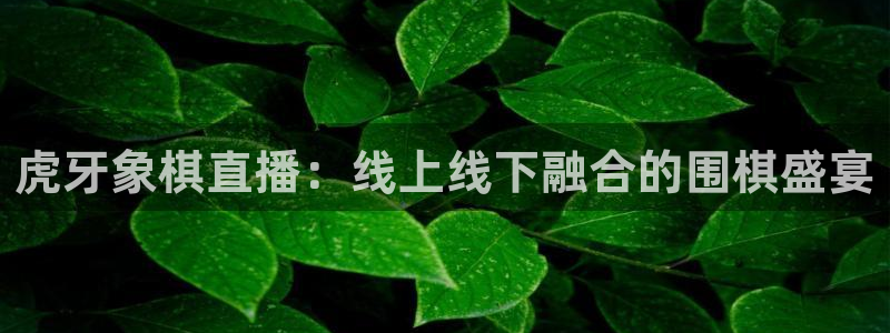 雨燕体育免费直播平台：虎牙象棋直播：线上线下融合的围棋盛宴