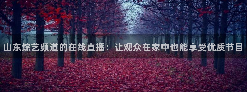 雨燕赛事直播：山东综艺频道的在线直播：让观众在家中也能享受优质节目