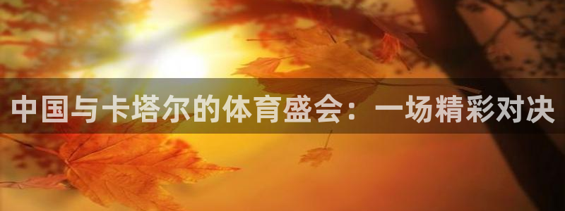 雨燕360体育直播足球罗甲：中国与卡塔尔的体育盛会：一场精彩对决
