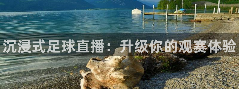 雨燕体育直播吧：沉浸式足球直播：升级你的观赛体验