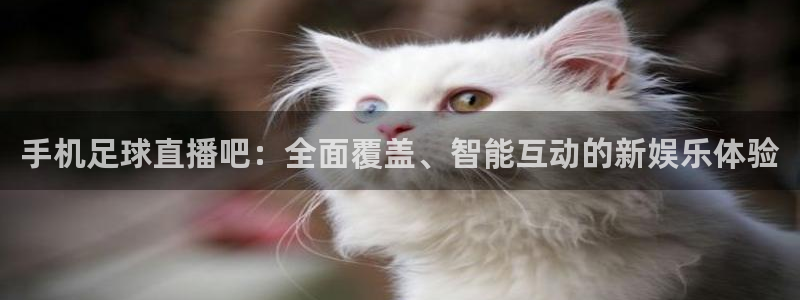 雨燕nba在线直播：手机足球直播吧：全面覆盖、智能互动的新娱乐体验