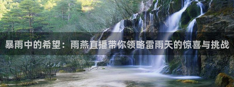 nba直播雨燕在线观看：暴雨中的希望：雨燕直播带你领略雷雨天的惊喜与挑战