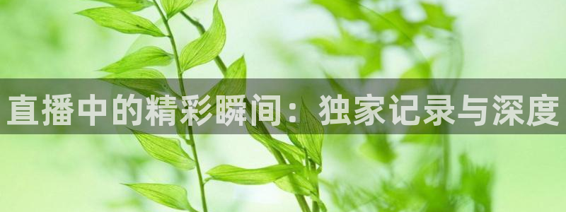 雨燕360体育免费直播斯诺克jrs：直播中的精彩瞬间：独家记录与深度